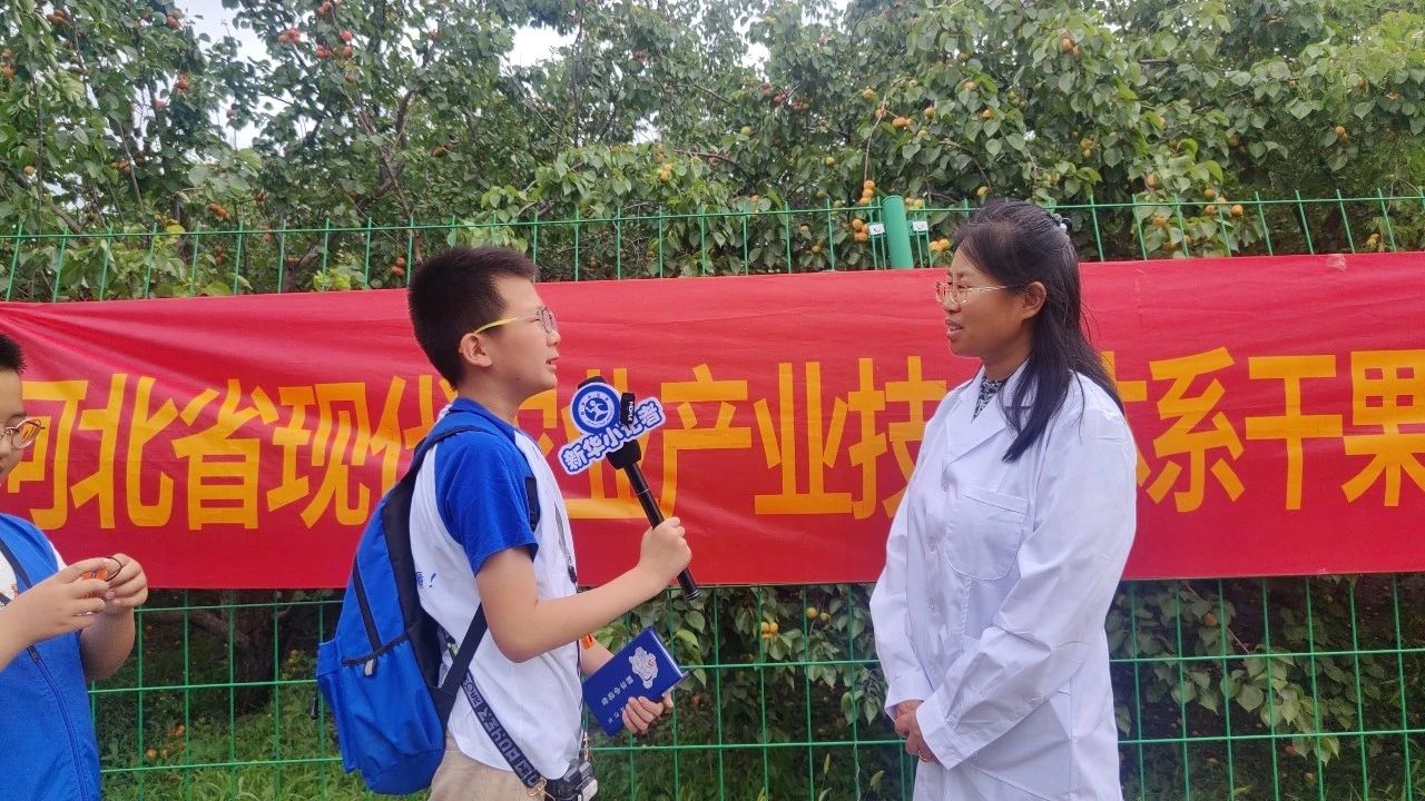 杏子熟了—新华小记者农科院林果所探秘记